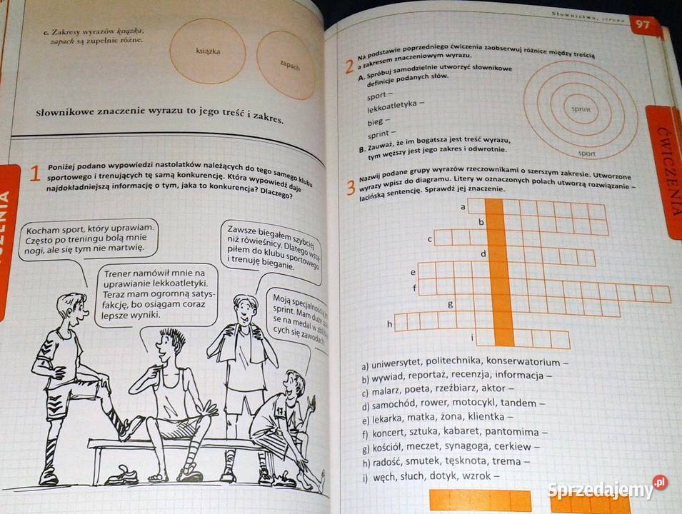 Gramatyka i stylistyka 3 Zofia CzarnieckaRodzik sprzedam