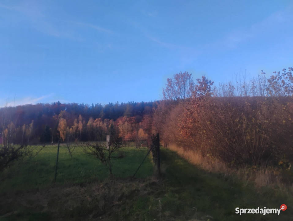 Sprzedam działkę z pięknym widokiem i świetnym Radochów