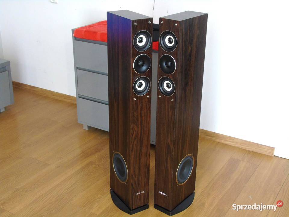 Mocne i ładne kolumny AEG 2x 480 wat. DOSTAWA.