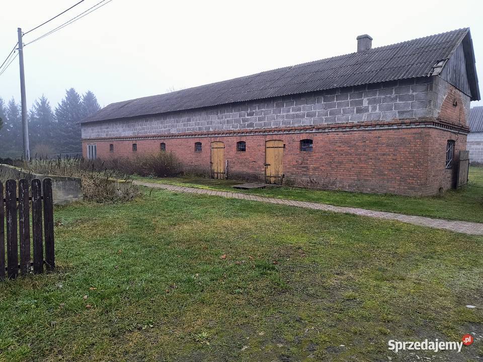 Dom z dużą działką i zabudowaniami gospodarczymi Sprzedaż Zaświatycze