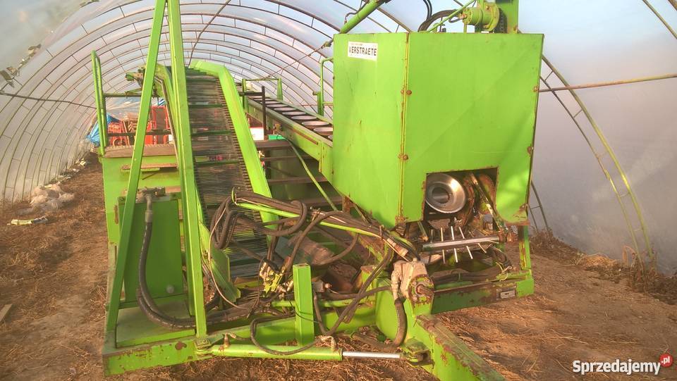 Kombajn do różyczkowania kalafiora brokuła nieuszkodzony Pacanów