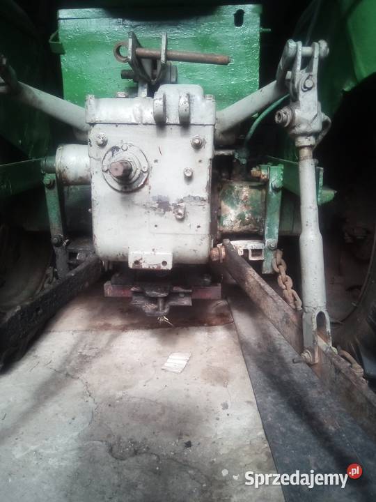 Mario 889 705 549 Łopuszno