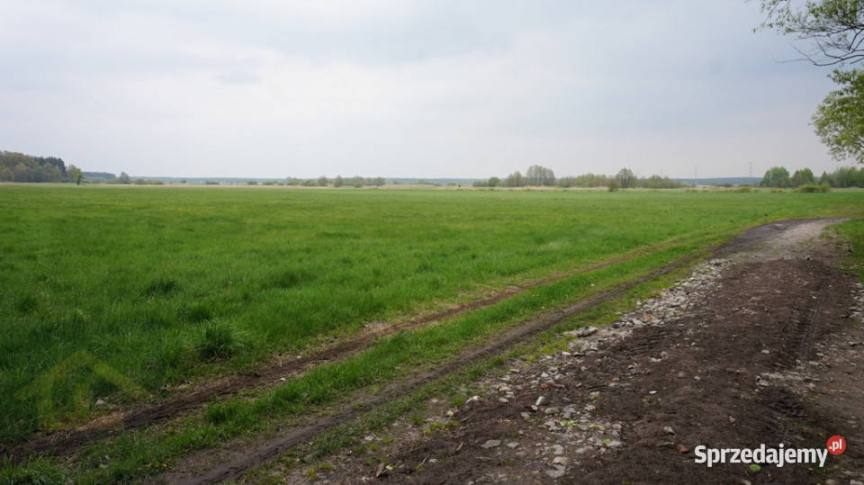 Nieruchomość w Całowaniu mazowieckie