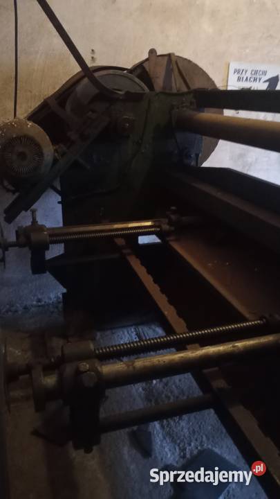 Srzedam gilotynę Olesno