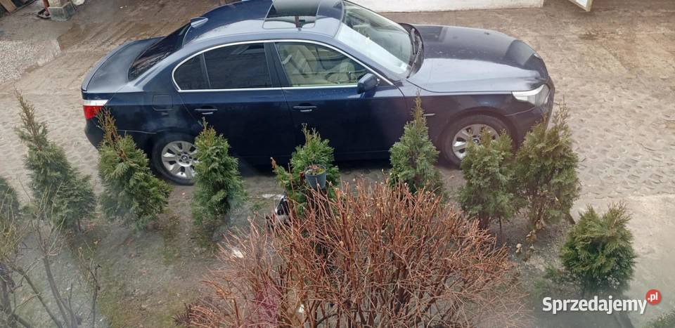 Bmw e 60 Kańczuga