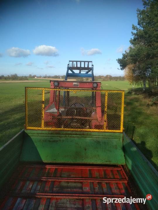 Rozrzutnik Czarnabiałostocka stan idealny łódzkie Złoczew sprzedam