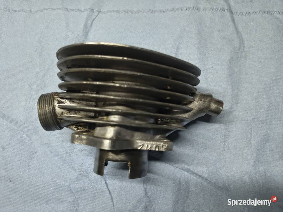 Cylinder komar sztywniak żak podkarpackie Rzeszów