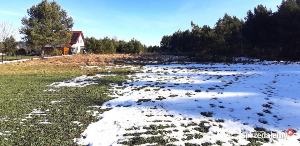 Działka w Bilczy uzbrojona 290m2 Bilcza
