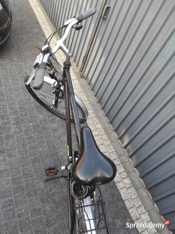 Rower męski Pegasus Pokój