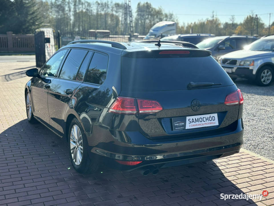 Volkswagen Golf Gwarancja Navi Bluetooth Ksenon isofix Sade Budy
