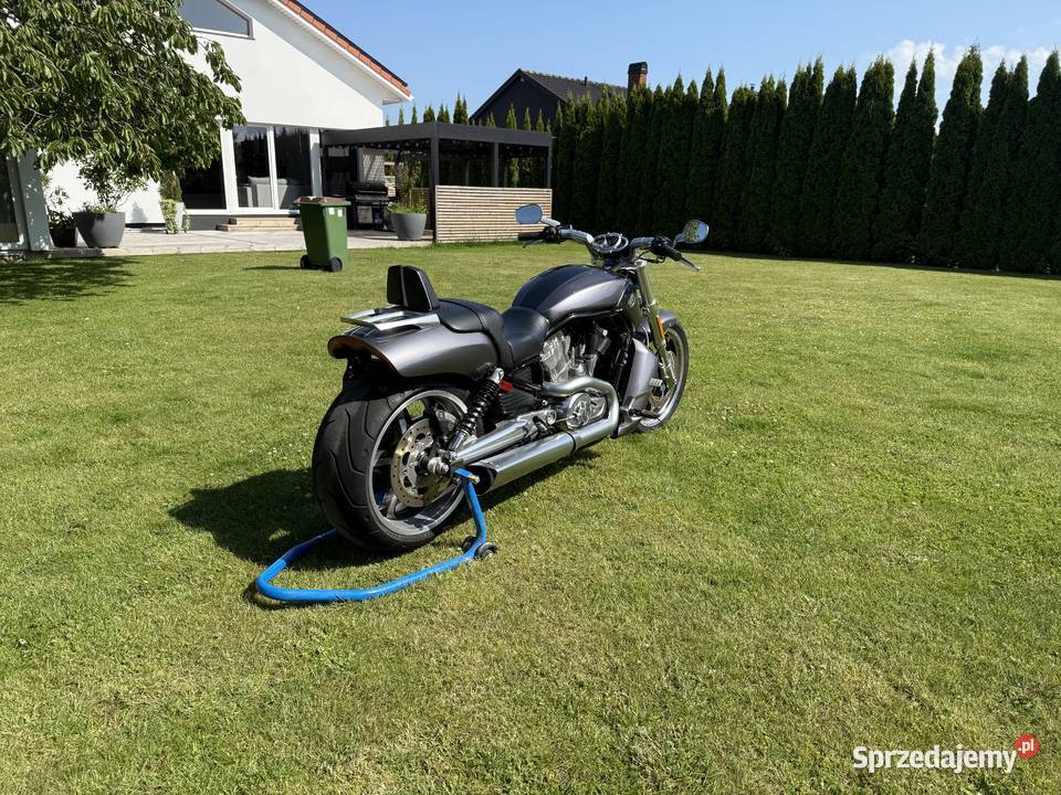 HARLEYDAVIDSON VROD MUSCLE 2014 Gorzów Wielkopolski