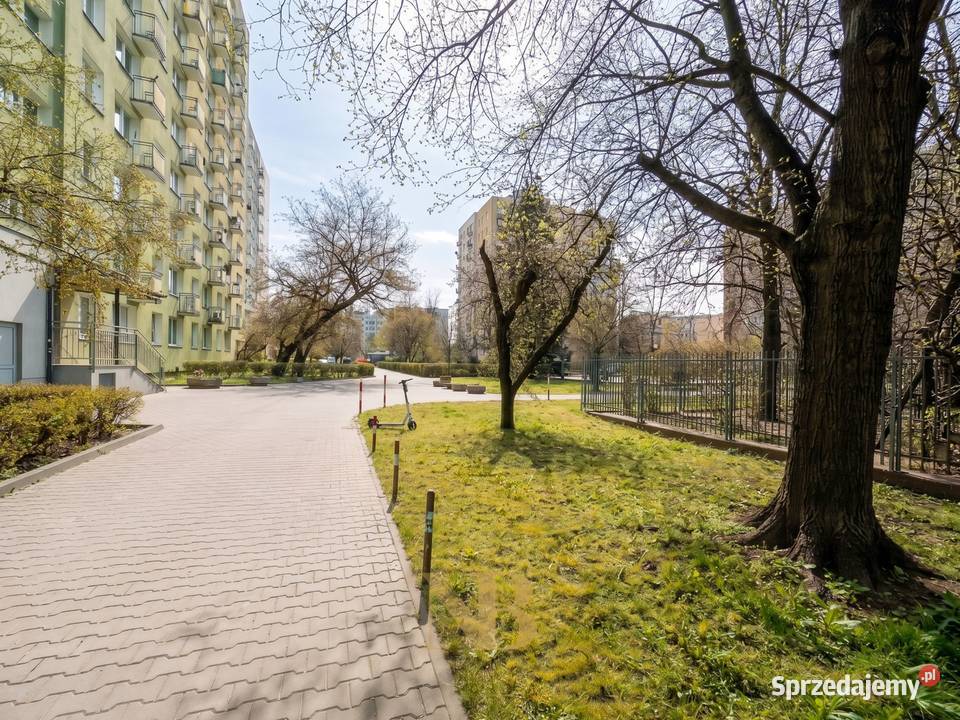 Saska Kępa Międzynarodowa 2 pokoje z widokiem na 3 piętra i więcej Wynajem Warszawa