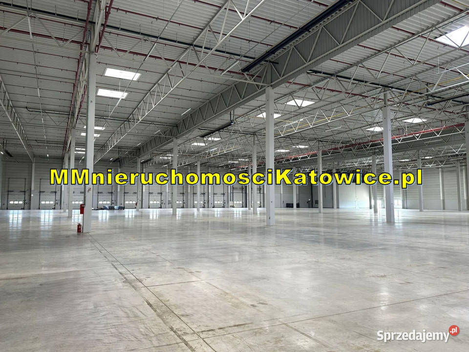 Hale do wynajęcia Dąbrowa Górnicza S1 Klasa A śląskie