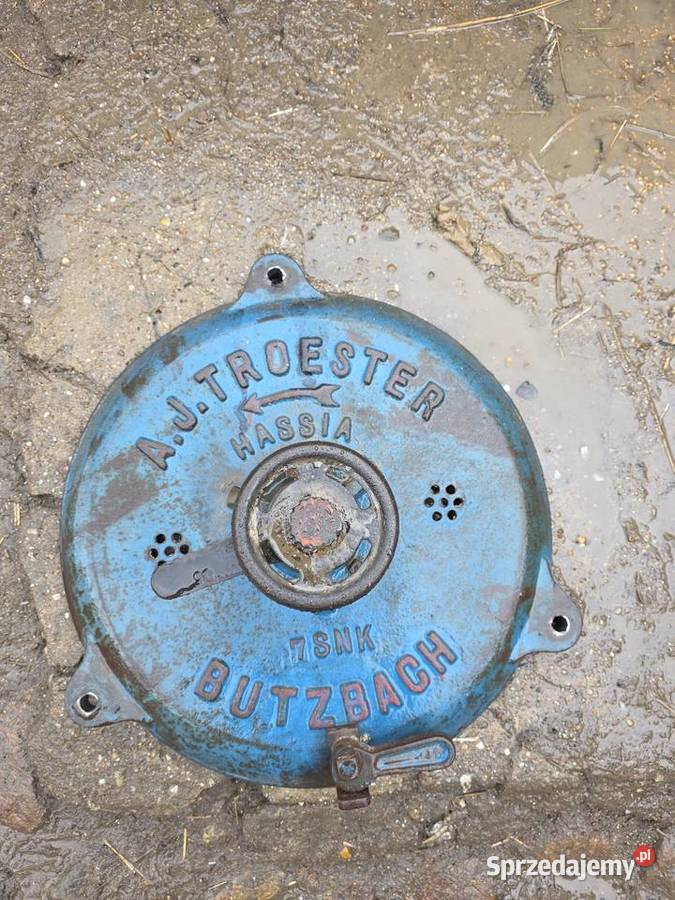 Kamienie gniotownika Biała sprzedam