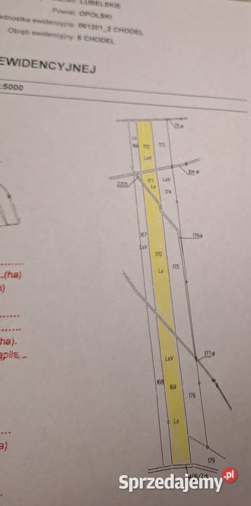Sprzedam działki w Chodlu
