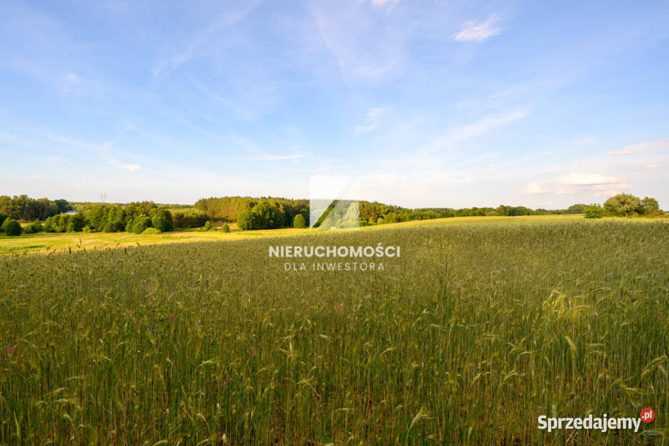 Kameralne działki budowlane w Kłodawie 1725 ar Kłodawa sprzedam