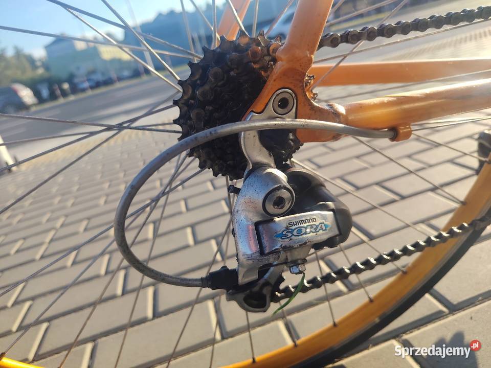 Rower szosowy Gazelle Primavera 58 Shimano Sora