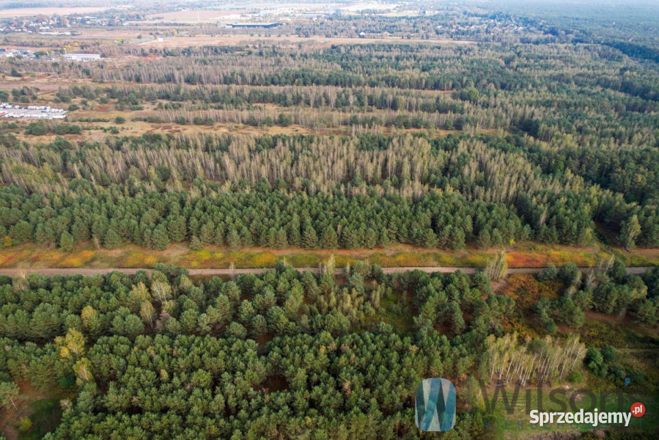 sprzedaży gruntu Czosnów 3000m2
