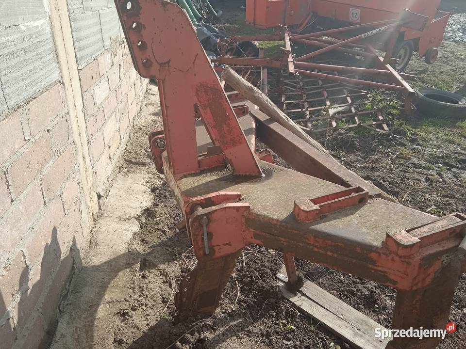 głębosz 3 łapy Niedarczów Górny-Kolonia sprzedam