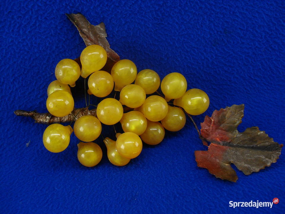 Winogrona dekoracyjne dolnośląskie Bielawa