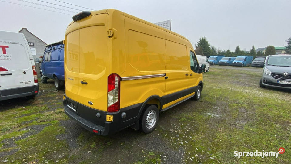 Ford Transit Ford Transit Klima Panel Kamera VAT marża dolnośląskie Syców