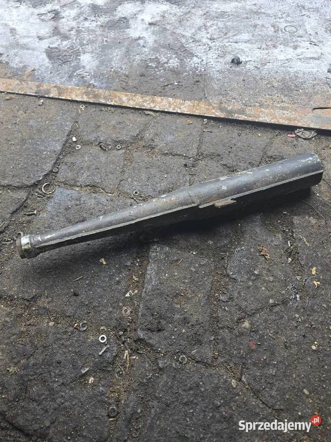 Tlumik jawka ogar Gorzów Wielkopolski