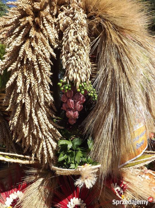 Wieniec dożynkowy Wrocław