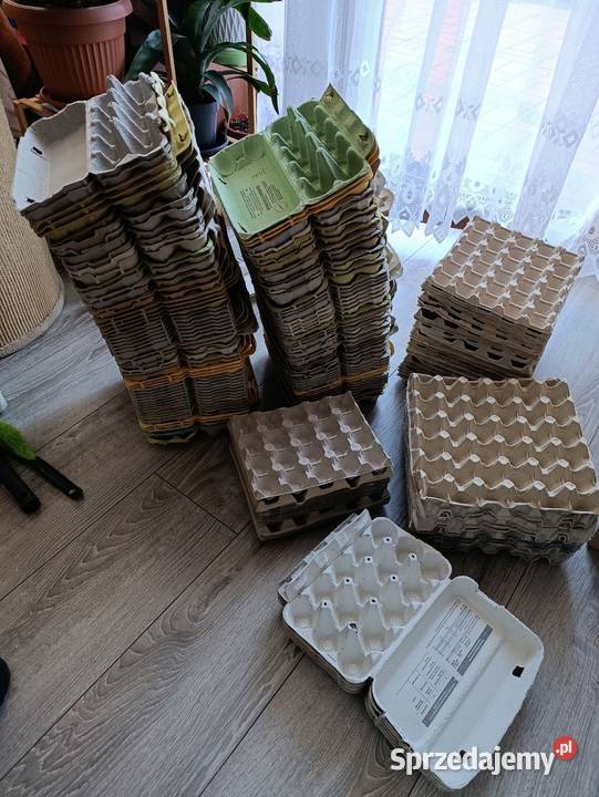 wytłaczanki pojemniki na jajka 161 sztuk wielkopolskie Poznań sprzedam