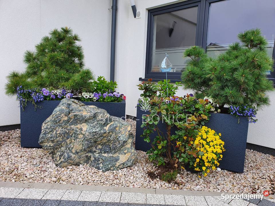 Donice ogrodowe łódzkie Łódź sprzedam