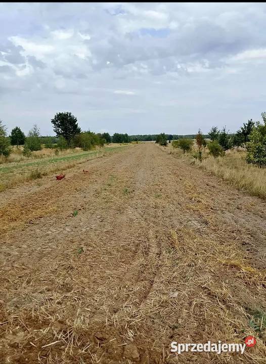 Działka rolnobudowlaną 106h Łagów