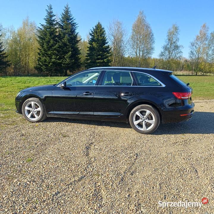 Audi a4 b9 20 tdi 2016 podkarpackie Pilzno sprzedam