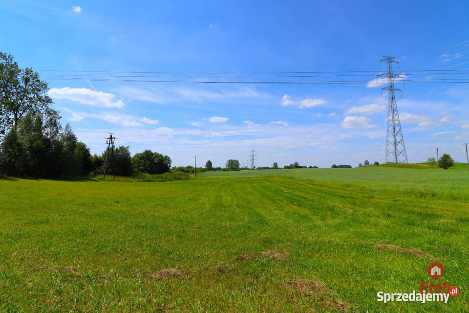 Działka Turówka Nowa 3000m2 46zł/m2 podlaskie