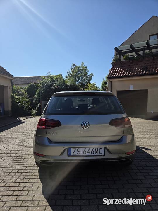 Volkswagen Golf VII 15 TSI IIQ Drive DSG Golf zachodniopomorskie