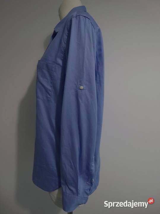 Koszula Bawełniana Modny Kolor Royal Blue Łomża