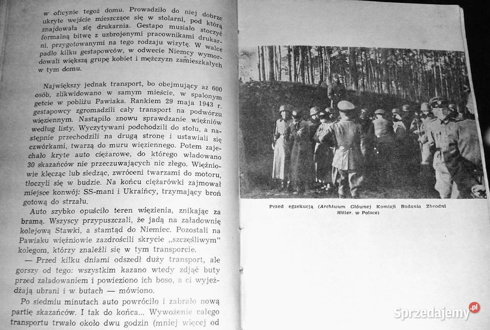 murami Pawiaka Leon Wanat Chełm sprzedam