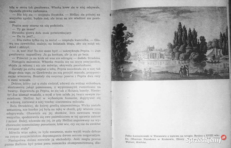 Syn marnotrawny Józef Ignacy Kraszewski 1961