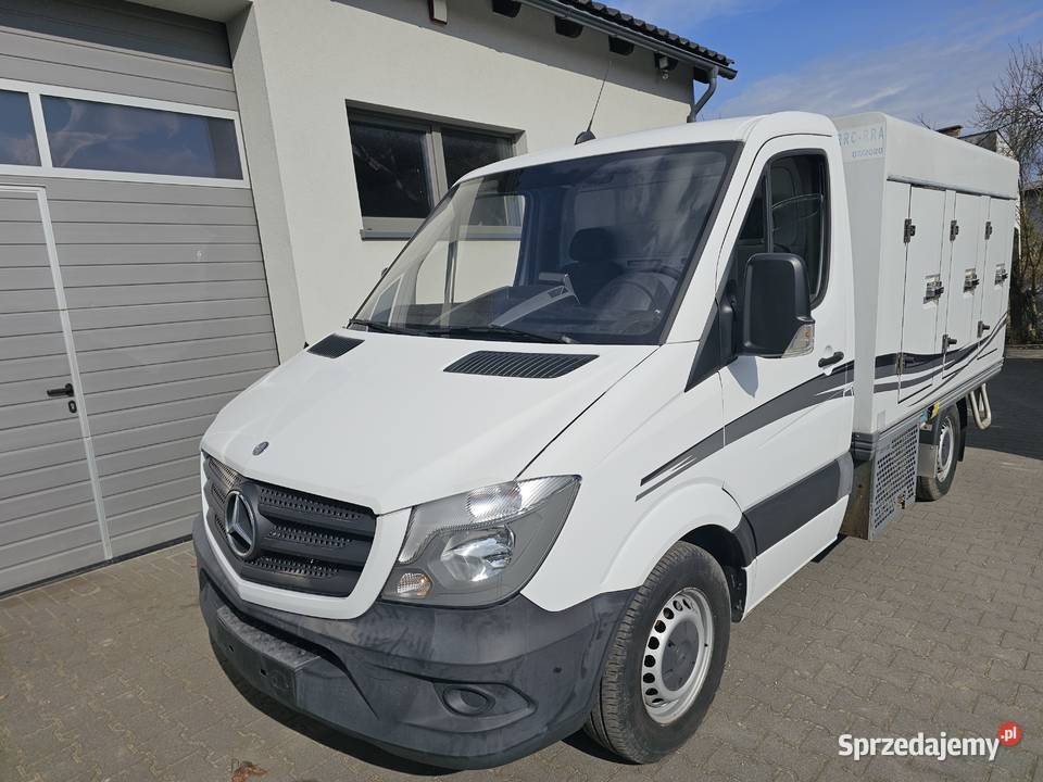 MercedesBenz 310 CDI Mroźnia chłodnia COLD CAR Wiele sprzedam