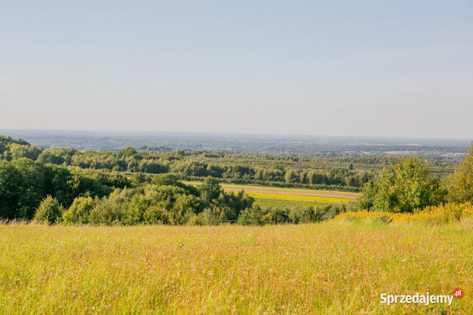 Działka zagrodowa Łysa Góra gm Dębno małopolskie sprzedam