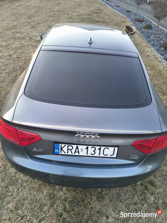 Audi A5 quattro manual 20 TDI 177 5 miejsc SLine 177KM
