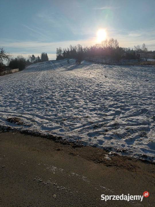 Działka Rebielice Królewskie Rębielice Królewskie
