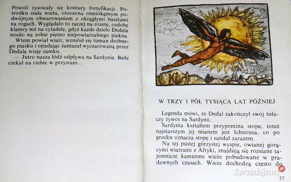 Mistrz Dedal Jadwiga Żylińska sprzedam