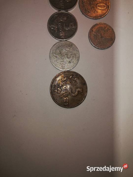 20 z lat PRelu bez znaku menniczym Warszawa