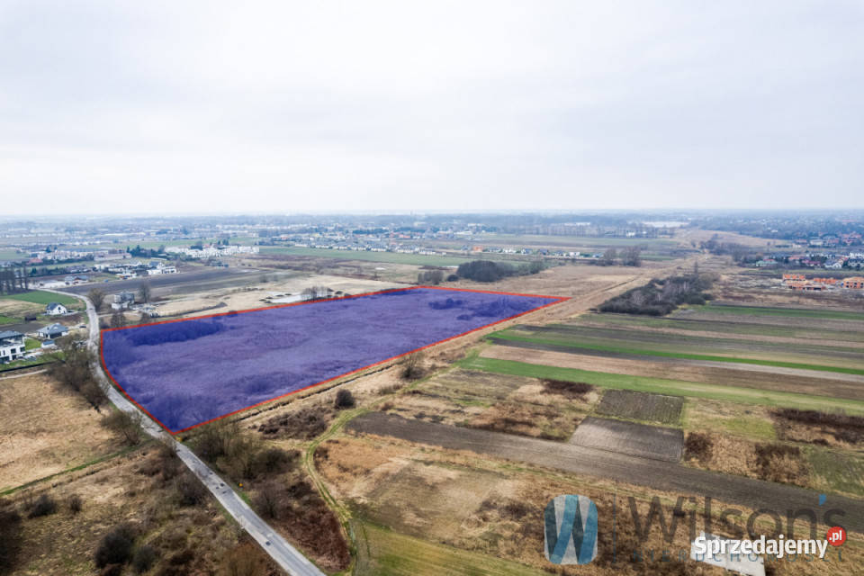 Działka Falenty Nowe Jaworowska 65910m2 321m Sprzedaż