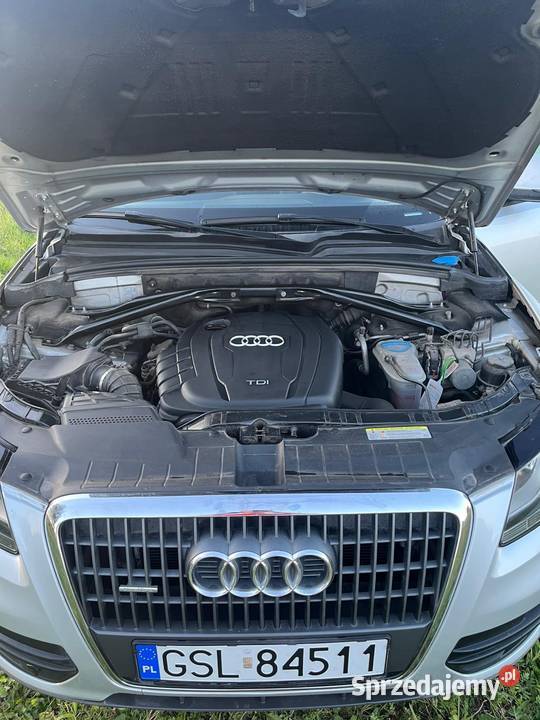 Audi Q5 20 TDi Quattro Q5 Słupsk sprzedam