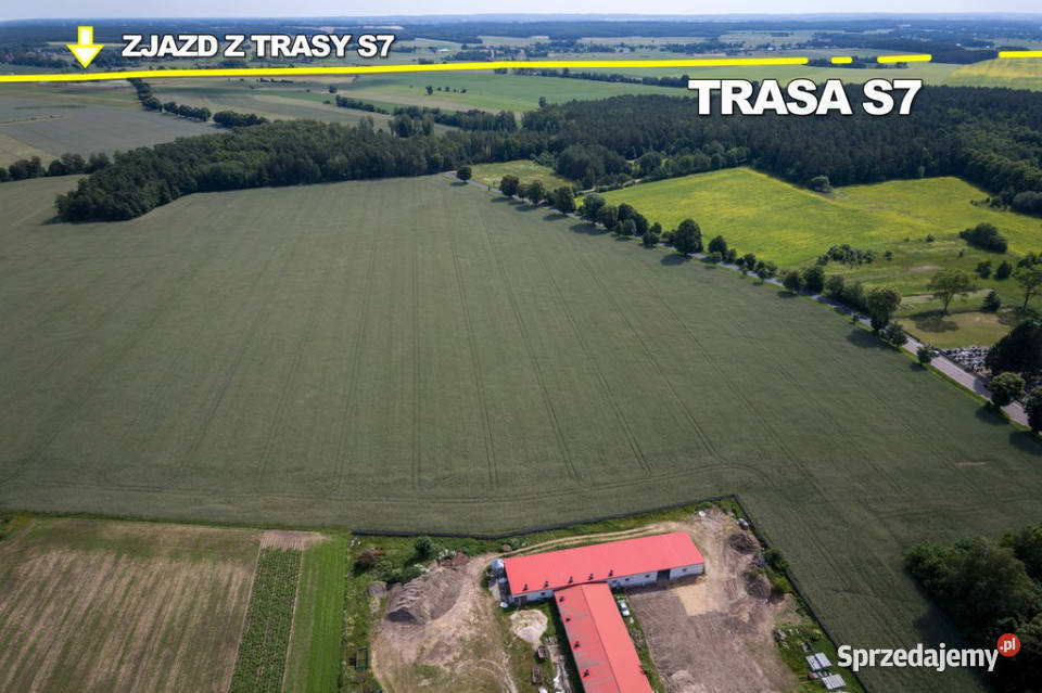901 ha MPZP produkcja logistyka 1 S7 Sprzedaż sprzedam