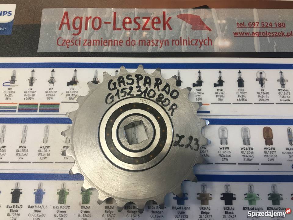 Gaspardo Zębatka ze sprzęgłem jednokier G15231080R Z23
