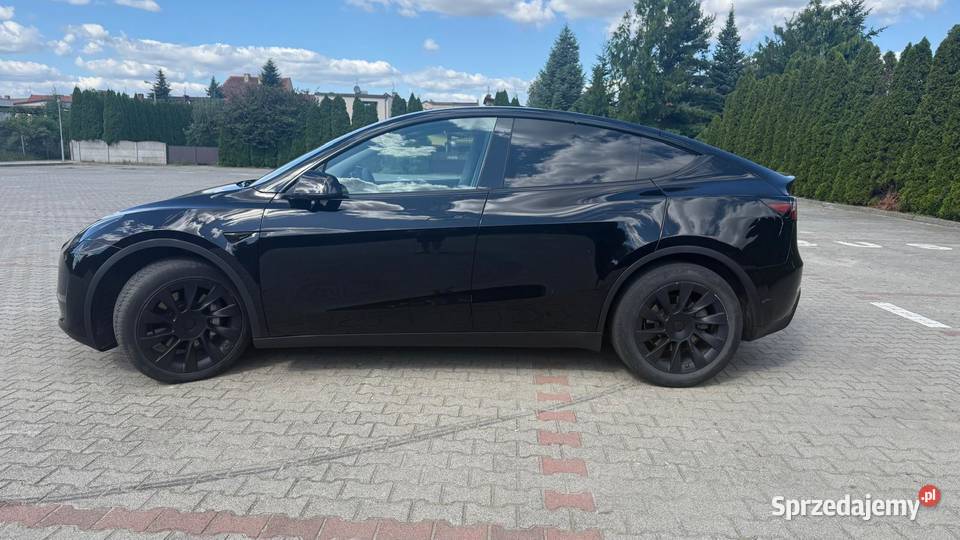 Tesla Y Long Range wersja europejska FV 23 36000km Borek Wielkopolski sprzedam