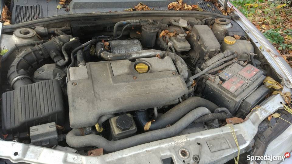 Opel Vectra B lifcie 2000r USZKODZONY PRZÓD poduszka powietrzna Lutynia