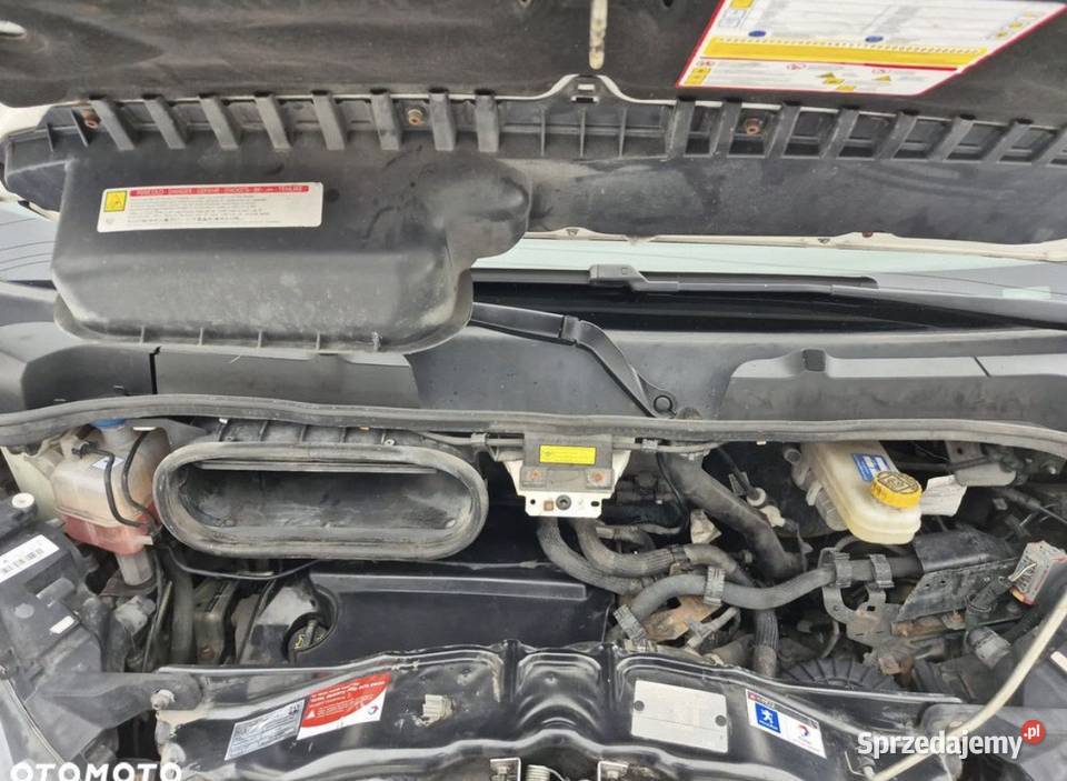 Peugeot Boxer Kazimierz Dolny