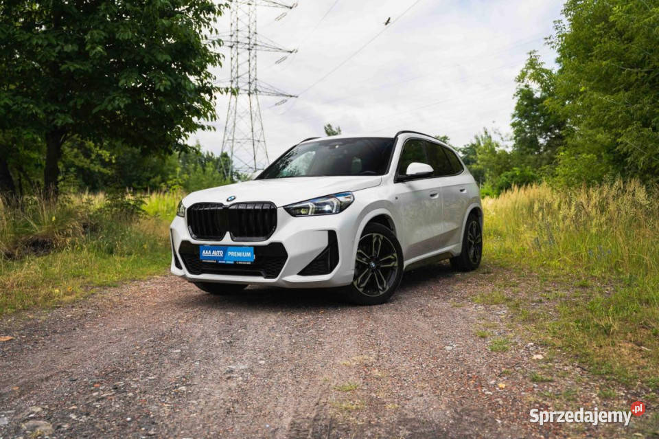 BMW X1 sDrive18i 35937km Katowice sprzedam